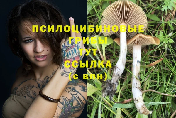 гидра Алексеевка