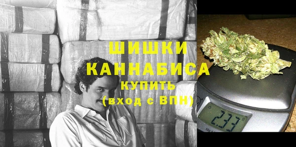 ПСИЛОЦИБИНОВЫЕ ГРИБЫ Алексин