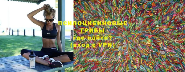ПСИЛОЦИБИНОВЫЕ ГРИБЫ Алексин