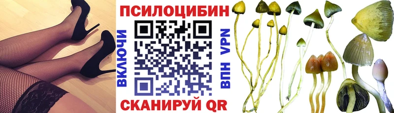 Галлюциногенные грибы мицелий  ОМГ ОМГ зеркало  Кинель  сколько стоит 